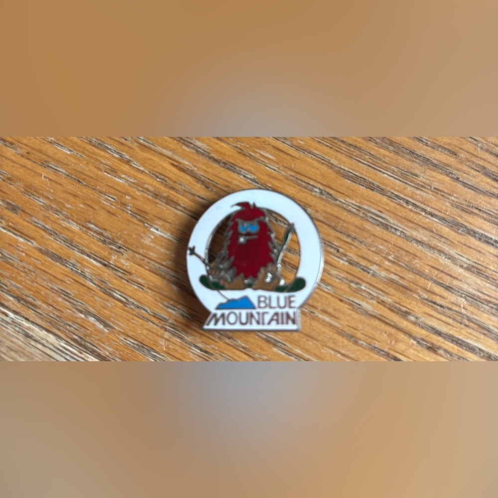 BLUE MOUNTAIN RESORT PIN